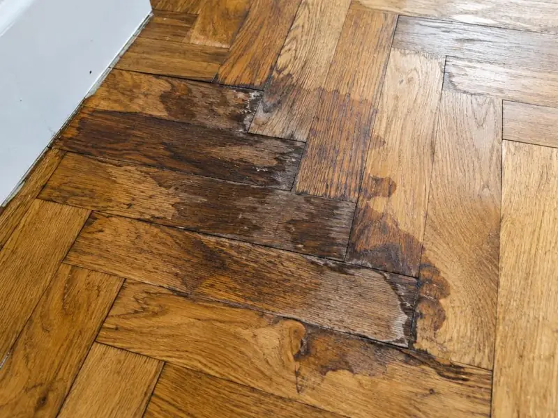Parquet ancien en point de Hongrie noirci et soulevé près d’une plinthe après une exposition à l’eau.
